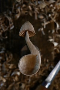 Image 5 of Mushroom Scoop ~