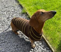 Image 2 of Snazzy Breton Stripes
