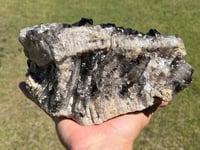 Image 9 of Large Smoky Quartz Points Cluster #2319