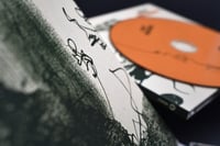 Image 4 of MOT - “Bruises” CD