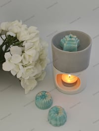 Image 1 of Flower Wax Melts