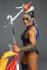 Blue gear with double sword 