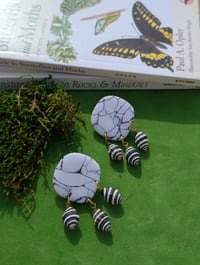 Image 2 of Faux Stone & Seashells V