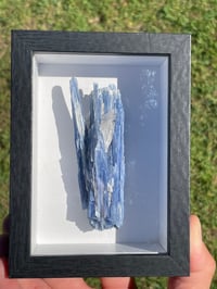Image 18 of Blue Kyanite & Quartz Specimen #1897