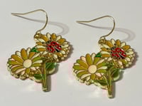 lady flowers