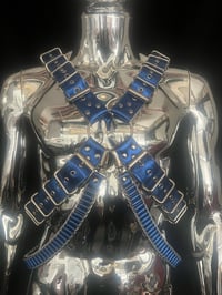 Image 5 of Electric Blue ‘X’ Harness 