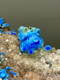 Image 8 of Rare Cyanotrichite On Quartz Matrix Specimen | Guizhou China