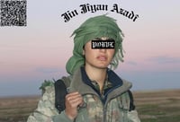 Image 2 of POBVL Sticker + postcard pack - free international shipping 