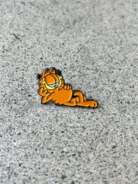 RR #163 Laidback Cat