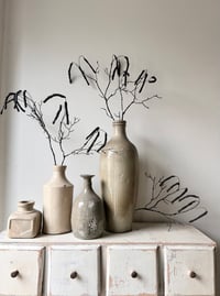 Image 2 of wire catkins