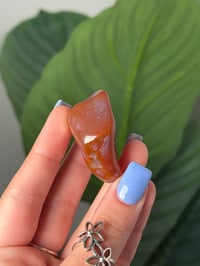 Image 2 of TUMBLED AGATE #15 -MALAWI-