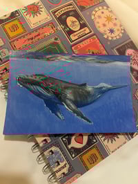 Image 1 of Whale on vintage postcard 