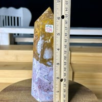 Image 6 of Ocean Jasper Tower (32A)