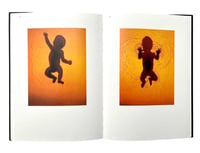 Image 2 of Adam Fuss - Photograms Of Life And Death