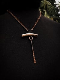 Image 2 of sticks and bones