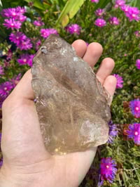 Image 5 of Smokey Skeletal Elestial Quartz
