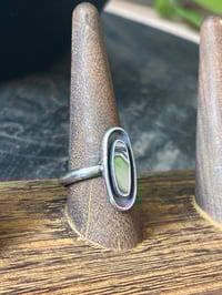Image 2 of Abalone Ring (9)