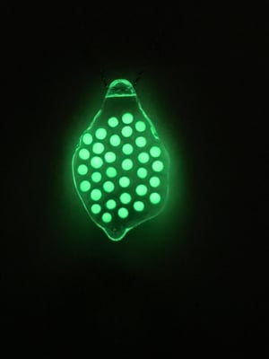 Glow in the Dark Glass Frog Egg Pendant