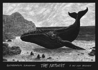 »The Notwist« Gig Poster