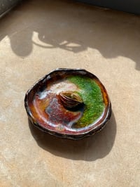 Image 2 of Grounding dish 50