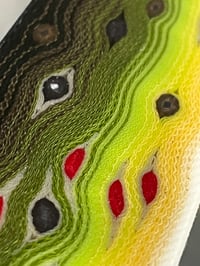 Image 5 of Thin Brown Trout by Mikie