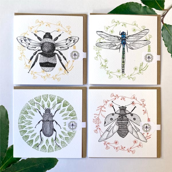 Image of Insect cards