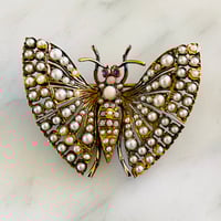 Image 1 of 14K GOLD BUTTERFLY BROOCH