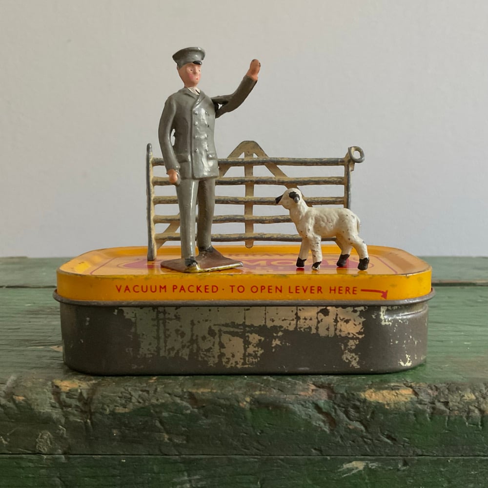 Image of Man,Sheep & Fence