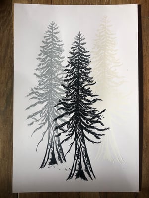 Three trees on white