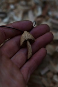 Image 4 of Oak Wood Liberty Cap Mushroom 