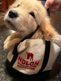 Image 6 of Limited Edition - NDLON - Mini Tote bag 