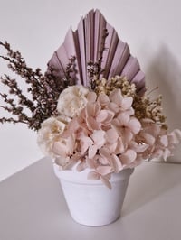 Image 1 of Baby's Breath 