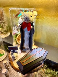Image 2 of Taxidermy Mouse Workshop Thurs 11th June 5.30 to 9.30pm