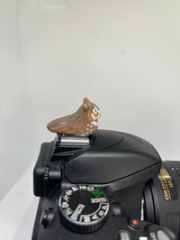 Image 3 of Great Horned Owl Hotshoe Cover