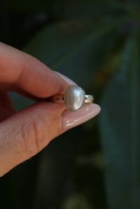 Image 2 of Fresh Water Pearl