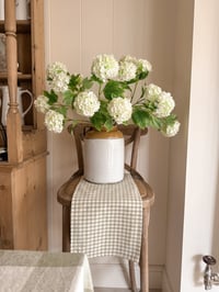 Image 4 of Snowball Bouquet ( 3 Included )