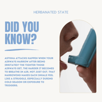 Image 2 of Lung Restore - Lung + Cold Support