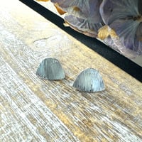 Image 1 of il corteccia curved Earrings 