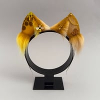 Image 1 of Bee Kitten 2 