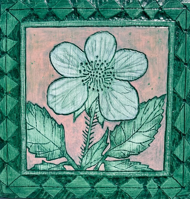 Black Raspberry Flower 