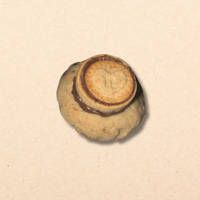 Image 1 of Nutella Biscuit Cookie