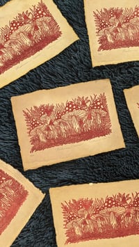 Image 1 of Mushroom Grove