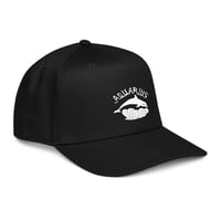 Image 1 of Aquarius Hat