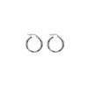 Silver II Earrings