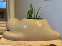 Image 4 of Aloe Vera In Lounging Sloth Pot