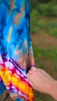 Image 5 of Birds of Paradise