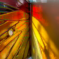 Image 5 of Monarch Panel