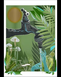 Image 1 of JUNE DREAMS + Well Waters