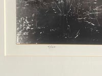 Image 4 of “Morning Mist”, S/N Photography Print