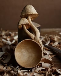 Image 1 of Silver Birch Mushroom Scoop 
